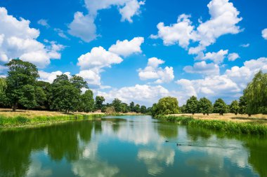 Hampton Court Park havuz