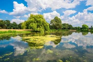 Hampton Court Park havuz