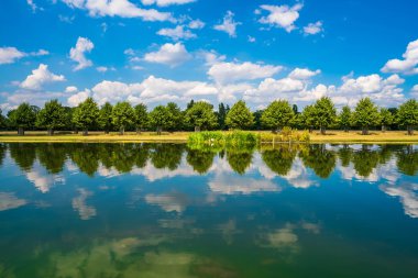 Hampton Court parkta uzun su kanalı