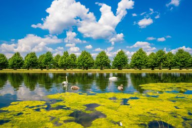 Hampton Court parkta uzun su kanalı