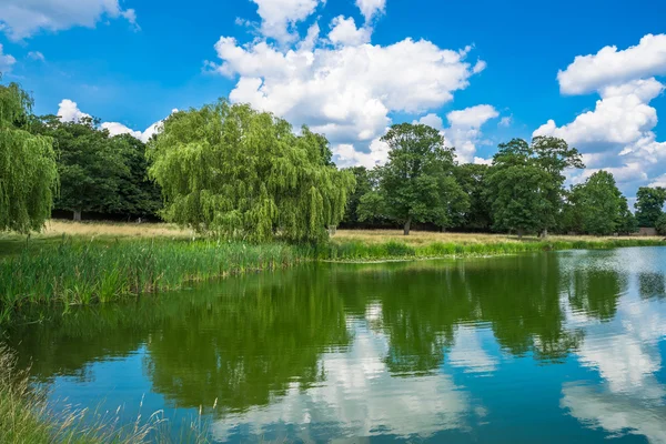 Hampton Court Park havuz