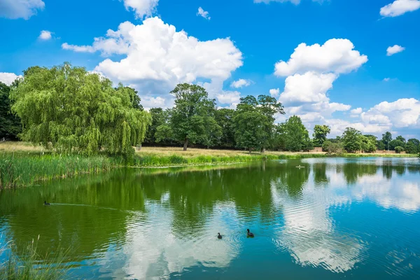 Hampton Court Park havuz