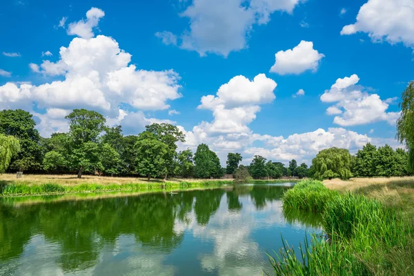 Rybník v Hampton Court Park — Stock fotografie