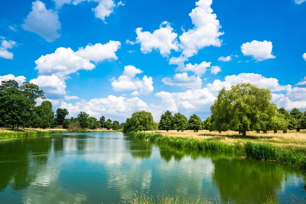 Hampton Court Park havuz