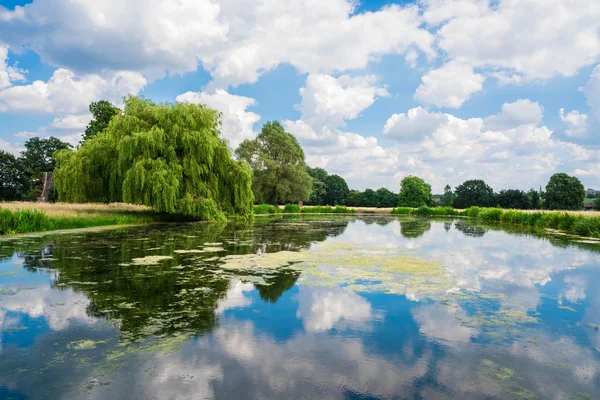 ハンプトン コート パークの池 — ストック写真