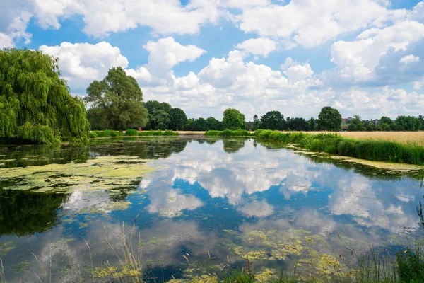 Uma lagoa em Hampton Court Park — Fotografia de Stock