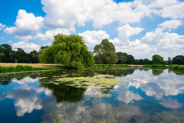 Rybník v Hampton Court Park — Stock fotografie