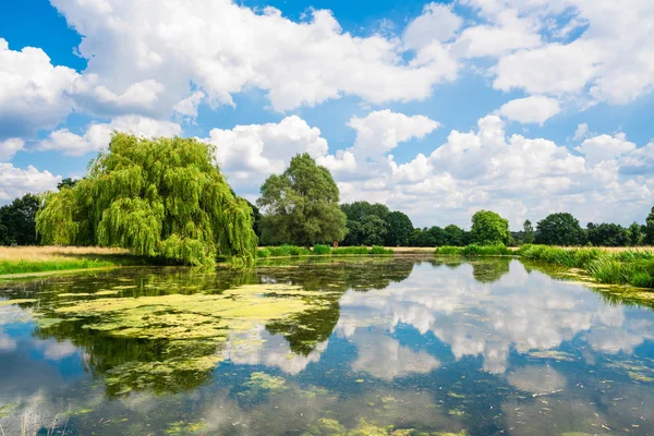 Hampton Court Park havuz