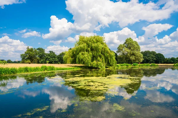 Hampton Court Park havuz