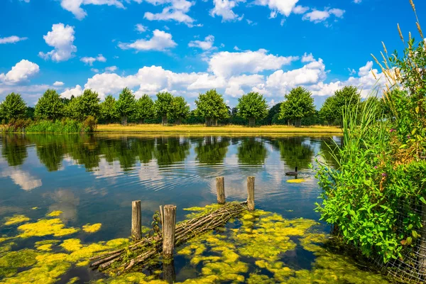 Vodní kanál dlouhá v Hampton Court Park — Stock fotografie