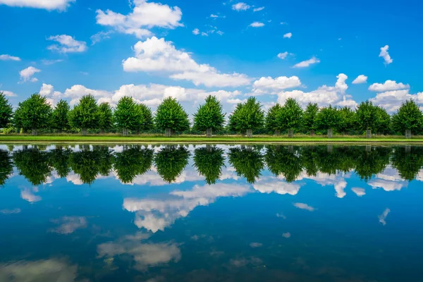 The Long Water Canal in Hampton Court Park — Stock Photo, Image