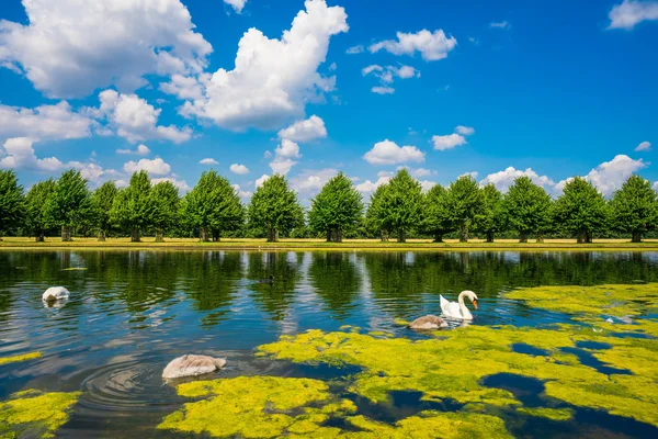 Vodní kanál dlouhá v Hampton Court Park — Stock fotografie