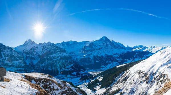 Vedere Panoramică Largă Alpilor Elvețieni Din Primul Munte Din Grindelwald — Fotografie, imagine de stoc