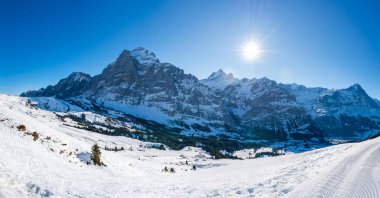 İsviçre 'nin Grindelwald kentindeki ilk dağdaki İsviçre Alplerinde karla kaplı zirvelerle geniş panoramik manzara