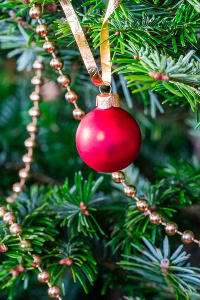 Red Bauble Christmas Tree Branch Christmas Ornament — Stock Photo, Image
