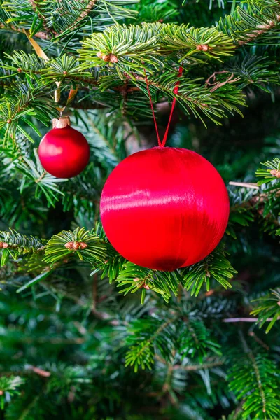 Eine Rote Christbaumkugel Auf Dem Ast Des Weihnachtsbaums Weihnachtsschmuck — Stockfoto