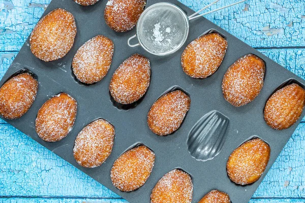 Traditional Madeleines Cakes Dusted Icing Sugar Overhead View — Stock Photo, Image