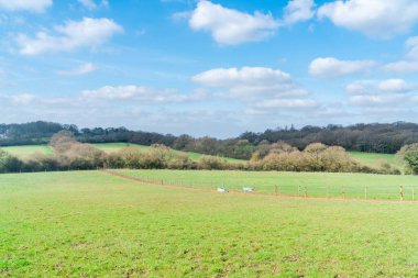 Londra 'daki Dollis Vadisi Greenwalk güzergahı boyunca, Mill Hill' deki Hendek Dağı yakınlarındaki açık alan manzarası