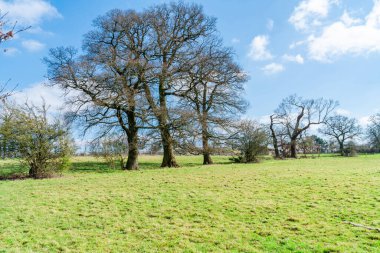 Londra 'daki Mill Hill' deki Moat Mount Open Space yakınlarındaki tarlaların görüntüsü