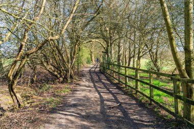 Londra 'daki Mill Hill' deki Hendek Dağı Açık Alanı 'na giden yol.