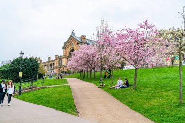 LONDON, İngiltere - 31 Mart 2021: Alexandra Sarayı 'nda kiraz çiçekleri, Londra Haringey İlçesi' nde Wood Green ve Muswell Hill arasında yer alan ikinci derece eğlence ve spor mekanı.