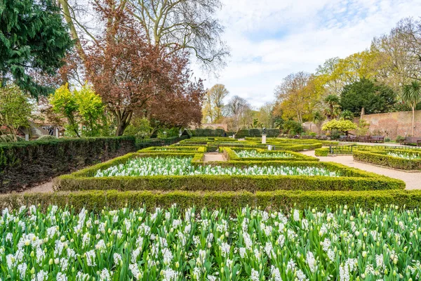 London Kwiatek 2021 Kwiaty Holenderskim Ogrodzie Holland Park Ogród Jest — Zdjęcie stockowe