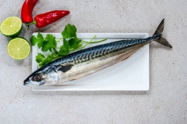 Çiğ uskumru - genel görünüm