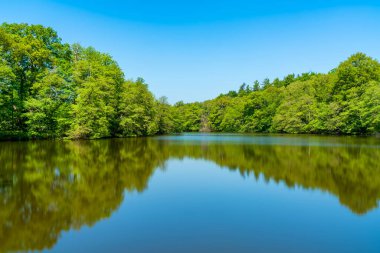 Surrey, İngiltere 'deki Virginia Su Gölü. Uzun pozlama efekti