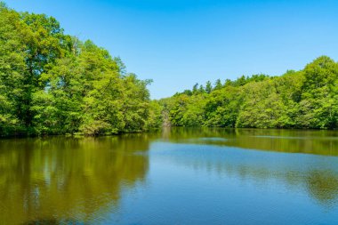 Surrey, İngiltere 'deki Virginia Su Gölü