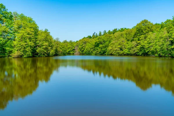 Virginia Water Lake Surrey Long Exposure Effect — Stock Photo, Image