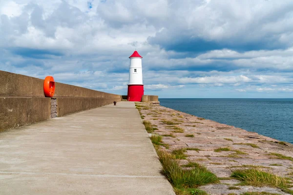 Berwick Lighthouse Mouth River Tweed Berwick Tweed Northumberland — Stock Photo, Image