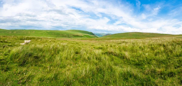 Szeroki Widok Panoramiczny Wiejskiego Krajobrazu Walijskiego Dolinie Elan Powys Walia — Zdjęcie stockowe