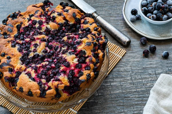 Torta Spugna Ribes Nero — Foto Stock