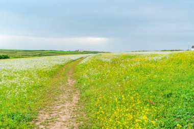 Marloes, Galler yakınlarındaki kırsal Pembrokshire manzarası