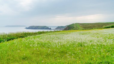 Marloes, Galler yakınlarındaki kırsal Pembrokshire manzarası