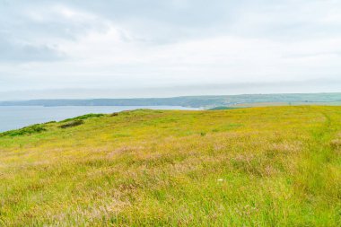 Galler 'deki Pembrokeshire Sahili ve St Bridges Körfezi manzarası