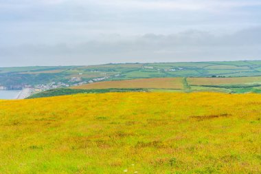 Galler 'de Pembrokeshire Sahil Yolu boyunca kırsal alan
