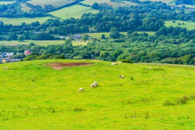 Galler 'deki Pembrokshire kırsalının güzel manzarası