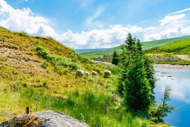 Galler 'in güzel kırsal manzarası Elan Vadisi, Powys, Galler