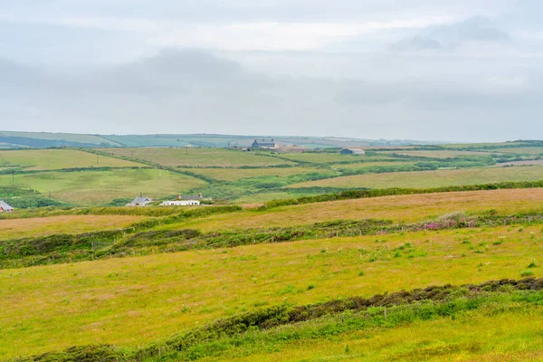 Paisagem Rural Longo Pembrokeshire Coast Path Gales — Fotografia de Stock