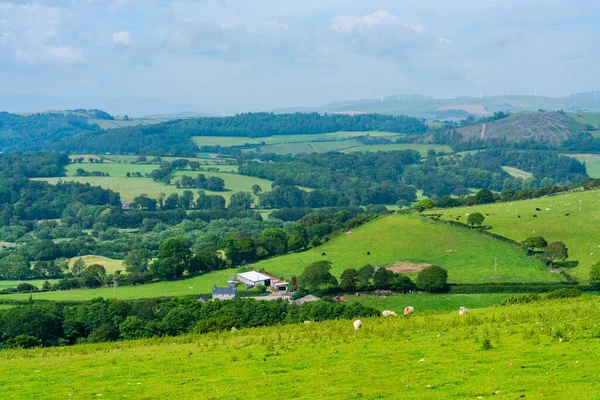 Över Vacker Natur Landsbygden Pembrokshire Wales — Stockfoto