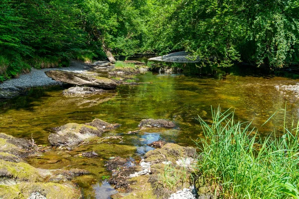 Floden Marteg Skogen Runt Rhayader Elan Valley Powys Wales — Stockfoto
