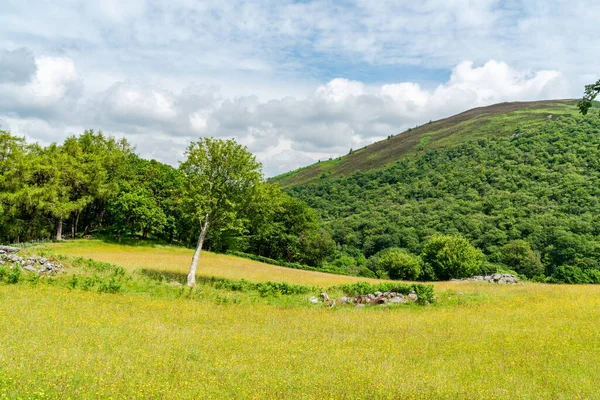 Vackra Walesiska Landsbygden Runt Rhayader Elan Valley Powys Wales — Stockfoto