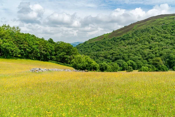 Vackra Walesiska Landsbygden Runt Rhayader Elan Valley Powys Wales — Stockfoto