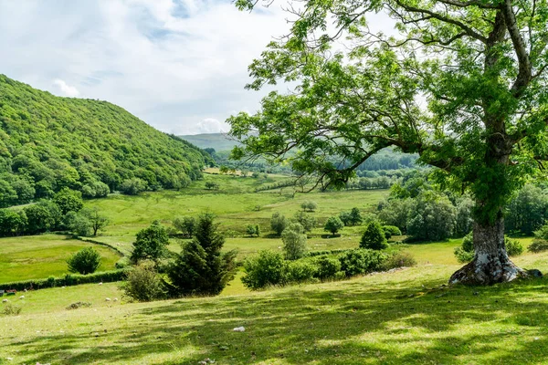 Piękna Walijska Wieś Wokół Rhayader Dolinie Elan Powys Wales — Zdjęcie stockowe