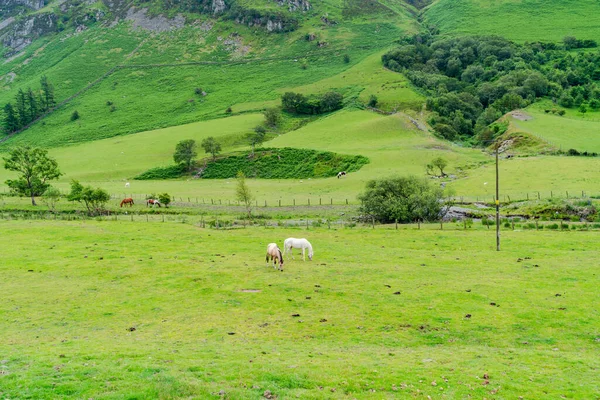 Utsikt Över Landsbygden Regionen Snowdonia Nordvästra Wales — Stockfoto