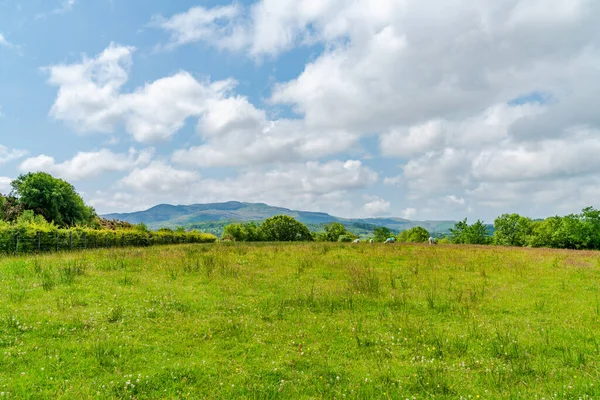 Landskap Walesiska Landsbygden Regionen Snowdonia Nordvästra Wales — Stockfoto