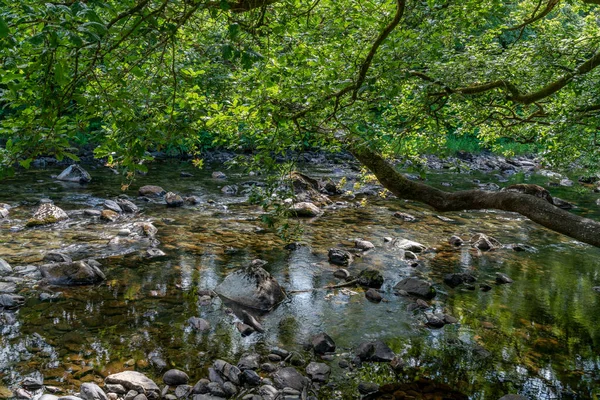 River Llugwy Betws Coed Țara Galilor — Fotografie, imagine de stoc