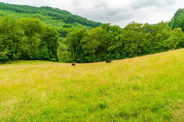 Widok Wieś Regionie Snowdonia Północno Zachodniej Walii — Zdjęcie stockowe