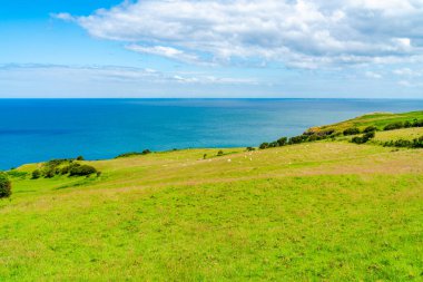 Llandudno, Galler 'deki Great Orme Burnu' nun güzel manzarası.